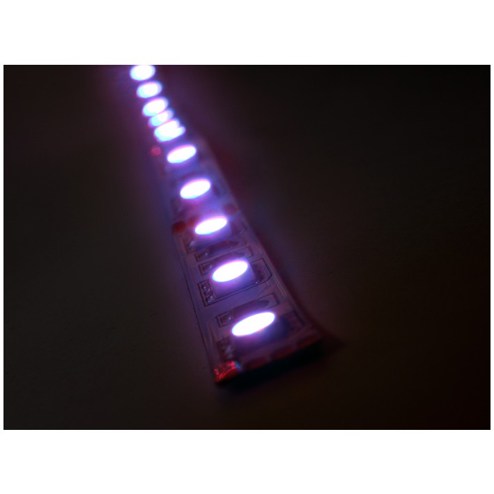 Fotografie LED páska SMD5050, RGB, 12V, 1m, 60 LED/m